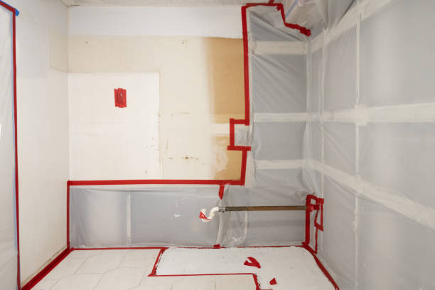 Trusted Cresson, TX Mold Inspection, Removal & Remediation Experts